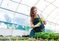 Beautiful young woman gardening Royalty Free Stock Photo