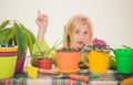 Beautiful young woman gardening. Watering flowers. Gardener woman planting flowers. Cute blonde gardening at isolated Royalty Free Stock Photo