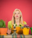 Beautiful young woman gardening. Watering flowers. Woman planting flowers in pot. Cute blonde gardening at isolated Royalty Free Stock Photo