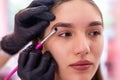 Beautiful young woman gets eyebrow correction procedure. Young woman painting her eyebrows in beauty saloon. Close-up of a young Royalty Free Stock Photo