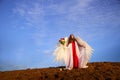 Beautiful young woman or girl in red dress and white wings on the sand on sunny day with blue sky. Angel model or dancer Royalty Free Stock Photo