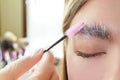 Beautiful young woman got correction of eyebrows in a beauty salon Royalty Free Stock Photo