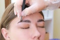 Beautiful young woman got correction of eyebrows in a beauty salon