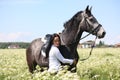 Beautiful young woman and gray horse portrait Royalty Free Stock Photo