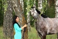 Beautiful young woman and gray horse portrait Royalty Free Stock Photo