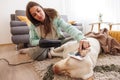 Woman grooming her dog and drying him using hair dryer after a bath Royalty Free Stock Photo