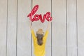 Beautiful young woman having fun outdoors with a red balloon with a love word shape. Casual clothing. wearing hat and modern Royalty Free Stock Photo