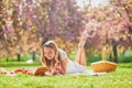 Woman having picnic on sunny spring day in park during cherry blossom season Royalty Free Stock Photo