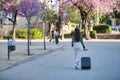 Beautiful young woman, Hispanic, brown hair, wearing striped sweater, linen pants, walking with her suitcase at sunset, in a park Royalty Free Stock Photo