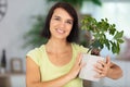 Beautiful young woman holding bonsai Royalty Free Stock Photo