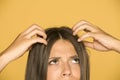 Beautiful young woman with itchy scalp Royalty Free Stock Photo