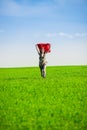 Beautiful young woman jumping on a green meadow Royalty Free Stock Photo