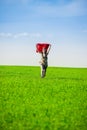 Beautiful young woman jumping on a green meadow with colored tissue Royalty Free Stock Photo