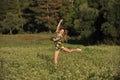 Beautiful young woman jumping in meadow Royalty Free Stock Photo