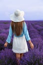 Beautiful young woman in lavender field on summer day Royalty Free Stock Photo