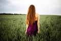 Beautiful young woman with long blonde hair in motion turned back, on the green field.Summer and freedom concept. Royalty Free Stock Photo