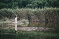 Beautiful young woman with long curly hair dressed in boho style dress posing near lake Royalty Free Stock Photo