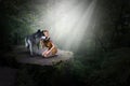 Fantasy Wild Wolf, Nature, Girl, Forest Royalty Free Stock Photo