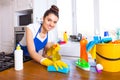 Beautiful young woman makes cleaning the house. Girl cleaning kitchen. Set.