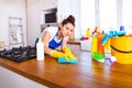 Beautiful young woman makes cleaning the house. Girl cleaning kitchen. Set. Royalty Free Stock Photo