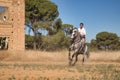 Beautiful young woman performing cowboy dressage exercises, riding her horse in the countryside on a sunny day. Concept horse Royalty Free Stock Photo