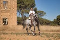 Beautiful young woman performing cowboy dressage exercises, riding her horse in the countryside on a sunny day. Concept horse Royalty Free Stock Photo