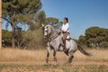 Beautiful young woman performing cowboy dressage exercises, riding her horse in the countryside on a sunny day. Concept horse Royalty Free Stock Photo