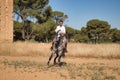 Beautiful young woman performing cowboy dressage exercises, riding her horse in the countryside on a sunny day. Concept horse Royalty Free Stock Photo