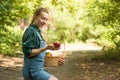 Beautiful young woman picking ripe organic apples in a basket in the garden or on a farm in an autumn or summer day Royalty Free Stock Photo