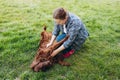 Beautiful young woman playing with her Irish Setter dog in a park outdoors. Happy Lifestyle portrait. Full body, Pet Royalty Free Stock Photo