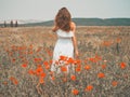 Beautiful young woman in the poppy field Royalty Free Stock Photo