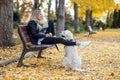 Beautiful young woman reading a book while sitting on bench with her lovely golden retriever dog in the park in autumn Royalty Free Stock Photo