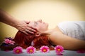 Beautiful young woman receiving facial massage in a spa salon Royalty Free Stock Photo