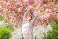 Beautiful young woman with red hair having fun standing in cherry blossom tree Royalty Free Stock Photo