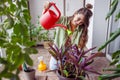 Woman watering houseplants while relaxing at home