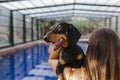 beautiful young woman relaxing in an indoor swimming pool. Cute small sausage dog on her shoulder. Summer time and lifestyle Royalty Free Stock Photo
