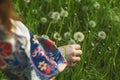 Beautiful Young Woman sitting on the field in green grass and blowing dandelion. Outdoors. Enjoy Nature. Healthy Smiling Girl on Royalty Free Stock Photo