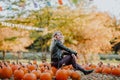 Beautiful young woman sitting on a pumpkin`s field. Autumn background Royalty Free Stock Photo