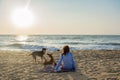 Beautiful young woman sitting on the towel at the beach with two dogs playing around during sunset Royalty Free Stock Photo