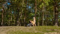 Beautiful young woman in skirt walking with baby stroller at park. Parenting, relaxing outdoors, beautiful mother Royalty Free Stock Photo