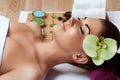 Beautiful young woman in spa salon. Face Massage Female.Facial treatment. Cosmetology. Body care