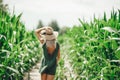 Beautiful young woman in straw hat walking in corn field. Back view. Selective focus in corn Royalty Free Stock Photo