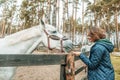 Beautiful young woman stroking the nose of a gray horse, love an