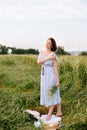 Beautiful young woman in summer in a wheat field Royalty Free Stock Photo