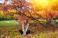 Beautiful young woman throwing leaves in a park Royalty Free Stock Photo