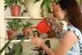 Beautiful young woman watering indoor plants near wall Royalty Free Stock Photo