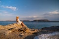 Beautiful young woman wearing traw hat sitting in rocks in white dress by the seashore