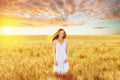 Beautiful young woman in wheat field Royalty Free Stock Photo