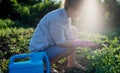 Beautiful young woman work in garden outside in summer nature, ecology lifestyle Royalty Free Stock Photo