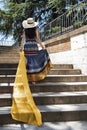 Beautiful young woman climbing stairs. Royalty Free Stock Photo